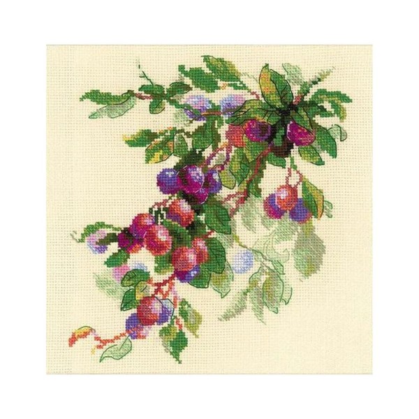 Branche de prunes  1616  Riolis - Photo n°1