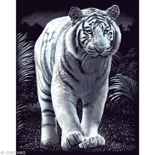 Carte à gratter Reeves Argentée Tigre - 20 x 25 cm - Photo n°1