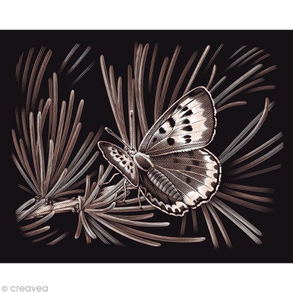 Carte à gratter Reeves Dorée Papillons - 31,5 x 21 cm - Photo n°1