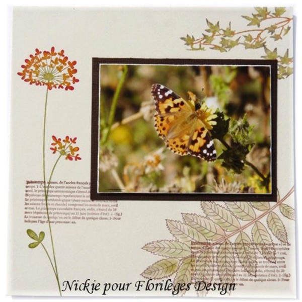 Tampon Nature - Souffle de Fleur - 40 x 150 mm - Photo n°2