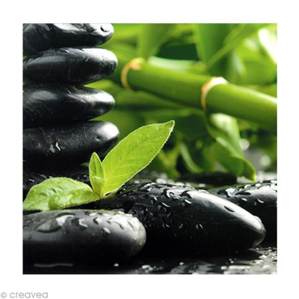 Image 3D Fleur - Bambou et pierres noires 30 x 30 cm - Photo n°1