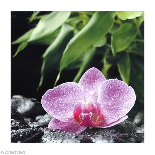 Image 3D Fleur - Orchidée rose sur pierres 30 x 30 cm - Photo n°1