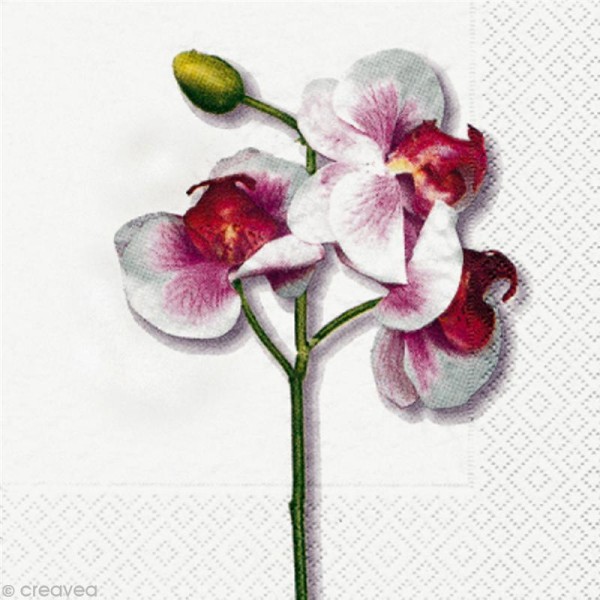 Serviette en papier Fleur - Orchidée Blanche Classique - Photo n°1