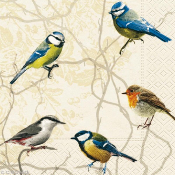 Serviette en papier Animaux - Collection Oiseaux - Photo n°1
