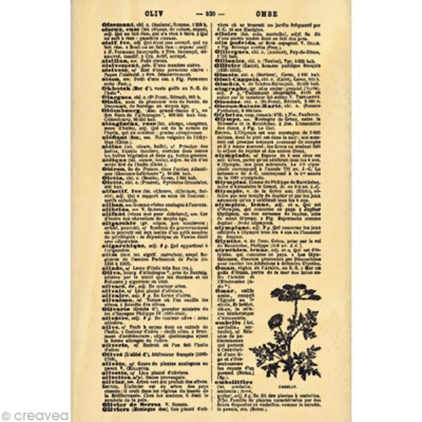Tampon Nature - Page de dictionnaire - 15 x 10 cm - Photo n°1