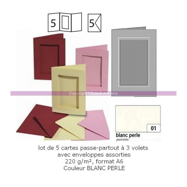 Lot 5 Cartes passe-partout rectangle à 3 volets, avec enveloppes, Format A6 - Photo n°1
