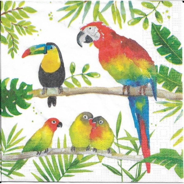 4 Serviettes en papier Perroquet Oiseaux Tropicaux Format Lunch - Photo n°2