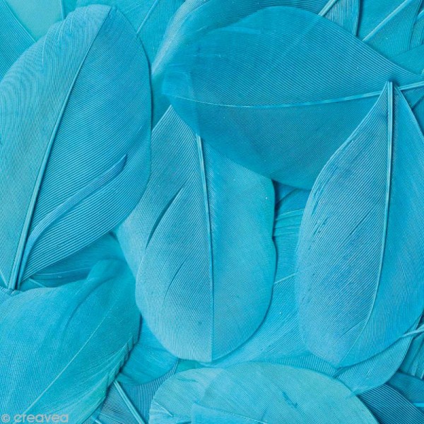 Plume ronde 6 cm - Bleu turquoise x 3 gr - Photo n°1