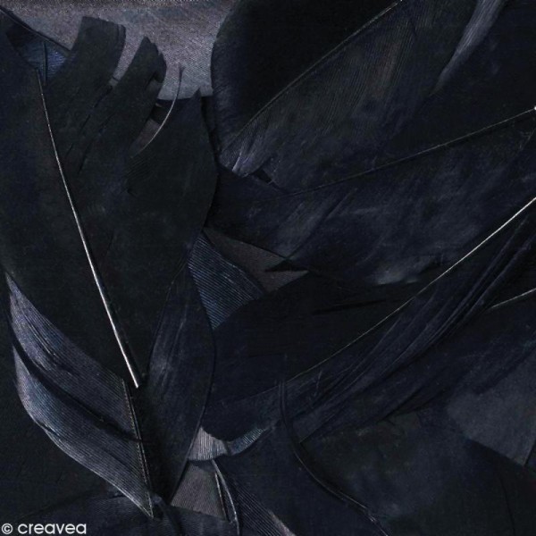 Plume ronde 6 cm - Noir x 3 gr - Photo n°1