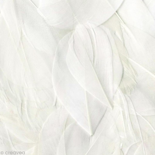 Plume ronde 6 cm - Blanc x 3 gr - Photo n°1
