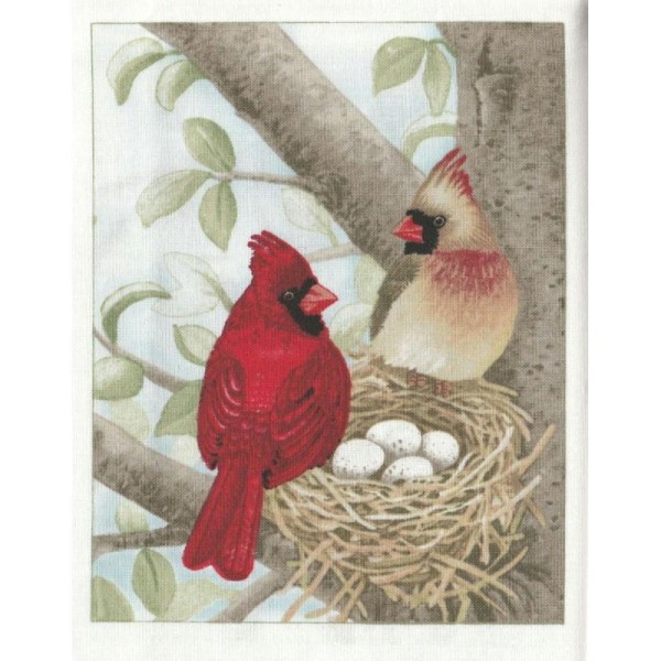 Vignette de Tissu 12x15 cm Cardinal Rouge - Photo n°1