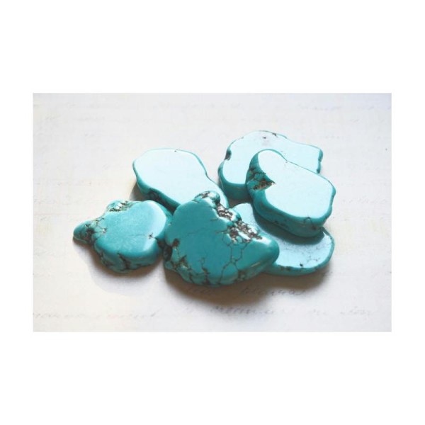 Grande perle palet en turquoise 25-35x33-40mm - Photo n°3
