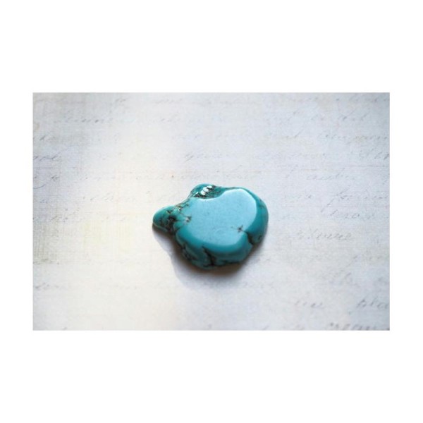 Grande perle palet en turquoise 25-35x33-40mm - Photo n°1