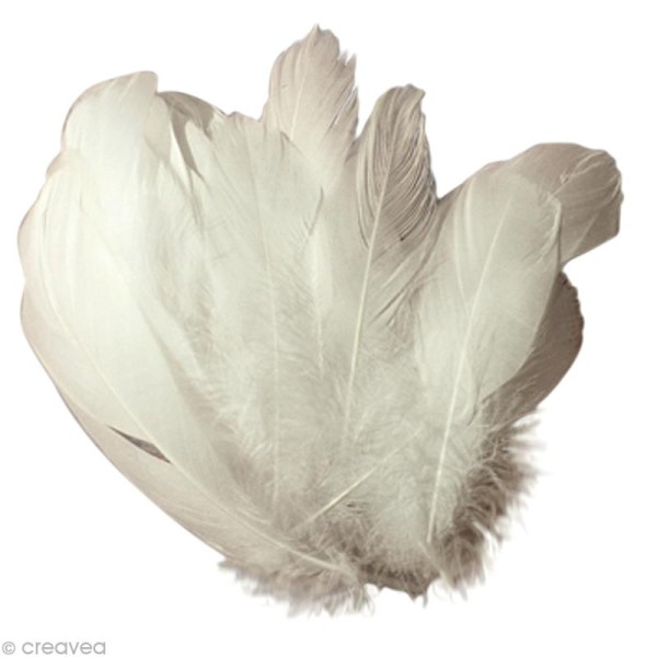Plume nageoire d'oie Blanche 17 cm x 20 gr - Photo n°1