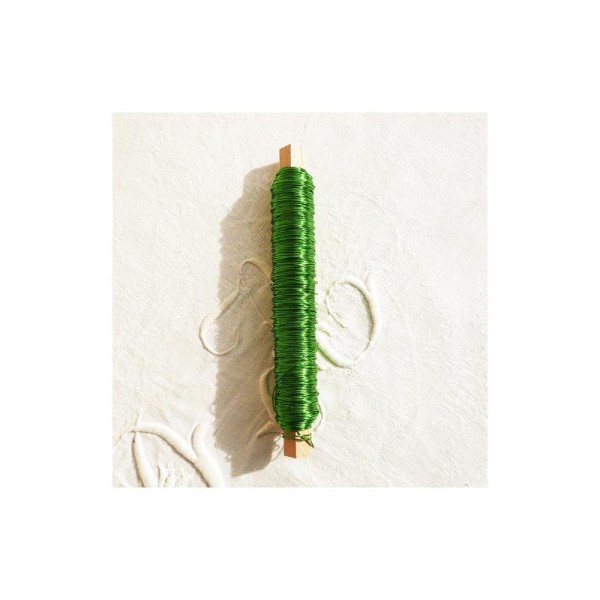 Bobine de fil de cuivre vert - Bobine de 100 g 0.5 mm diamètre - Photo n°1