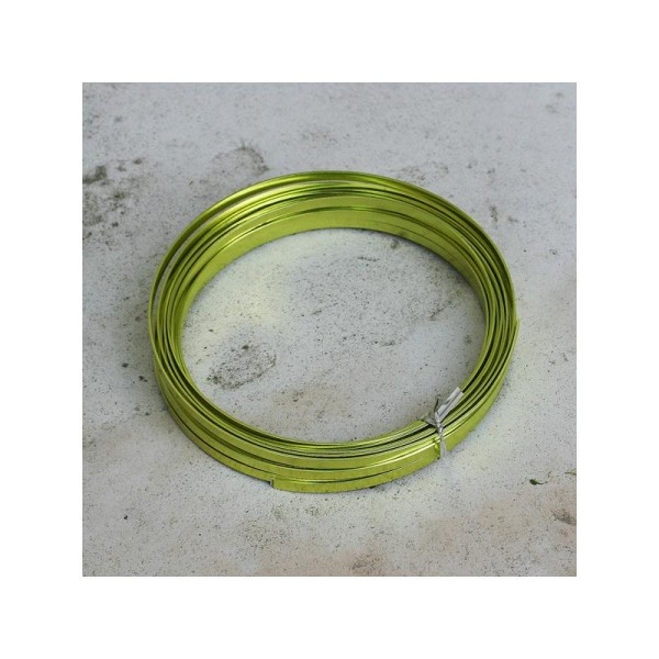 Fil métallique plat couleur vert pomme. 5 mm de large 1 mm d'épaisseur - vendu au mètre - Photo n°1