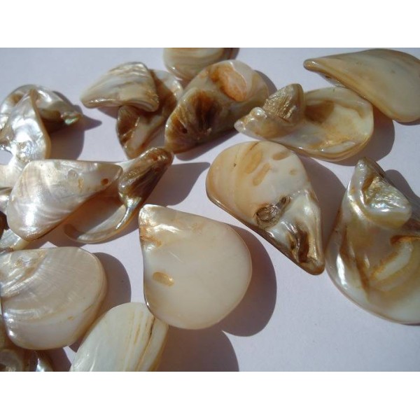 Lot de perles en coquillage véritable, couleur nacrée - Photo n°1