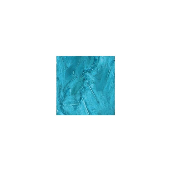 Plumes Turquoise 10g Artémio - Photo n°1