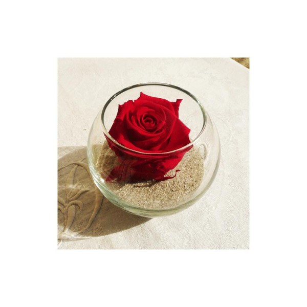 Bouton rouge de rose stabilisé - petit pédoncule de 1 cm de longueur - vendu à l'unité - Photo n°1