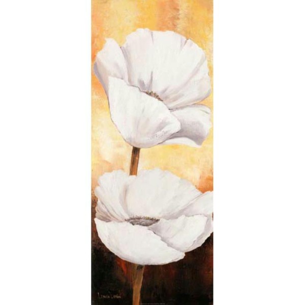 Image 3D Fleur - Coquelicot blanc droite 20 x 50 cm - Photo n°1
