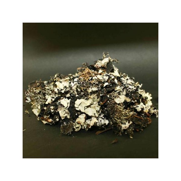 Lichen naturel pour décoration florale (sachet de 40 g) - Photo n°1