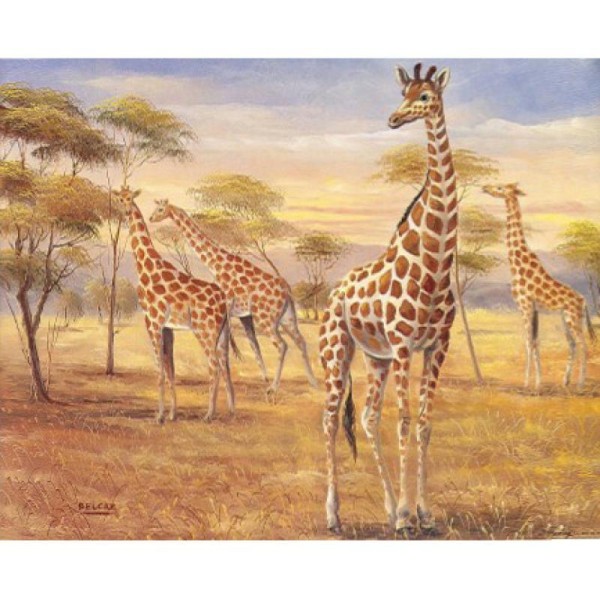 Image 3D Animaux - Troupeau de girafes 24 x 30 cm - Photo n°1