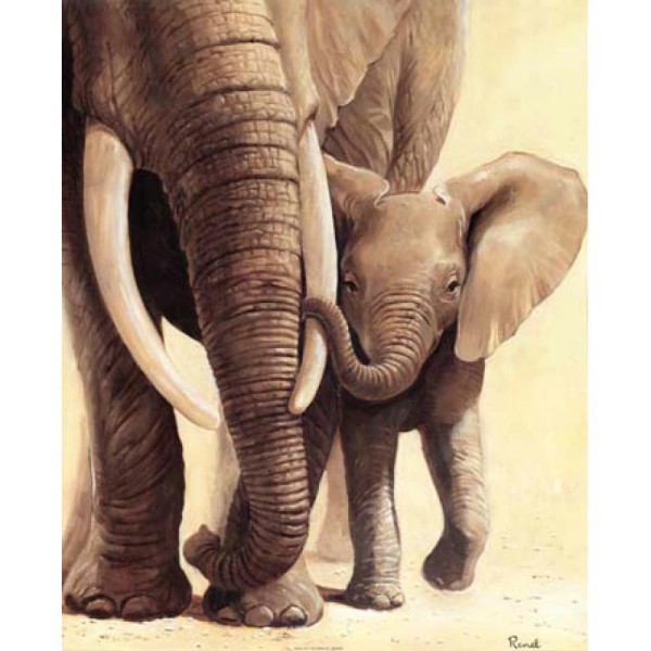 Image 3D Animaux - Eléphant et son bébé 40 x 50 cm - Photo n°1