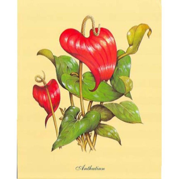 Image 3D Fleur - Anthurium 24 x 30 cm - Photo n°1