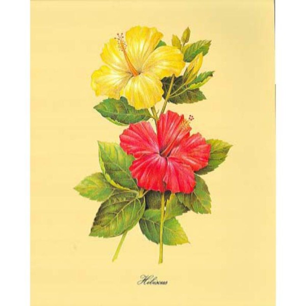 Image 3D Fleur - Hibiscus jaune et rouge 24 x 30 cm - Photo n°1