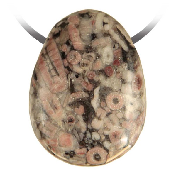 Pendentif goutte pierre percée en crinoïde fossille cordon vendu séparément. - Photo n°2