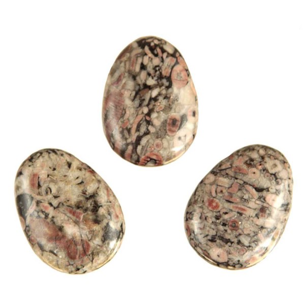 Pendentif goutte pierre percée en crinoïde fossille cordon vendu séparément. - Photo n°3