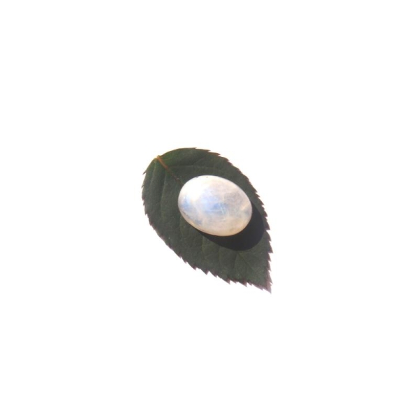Pierre de Lune Arc en Ciel : Cabochon ovale 16 MM x 11 MM x 10 MM - Photo n°2