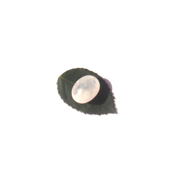 Pierre de Lune Arc en Ciel : Cabochon ovale 16 MM x 11 MM x 10 MM - Photo n°4