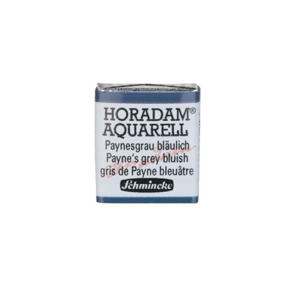 Horadam Aquarell couleurs aquarelle extra-fine pour artiste gris de payne bleuâtre 14787 - Photo n°2