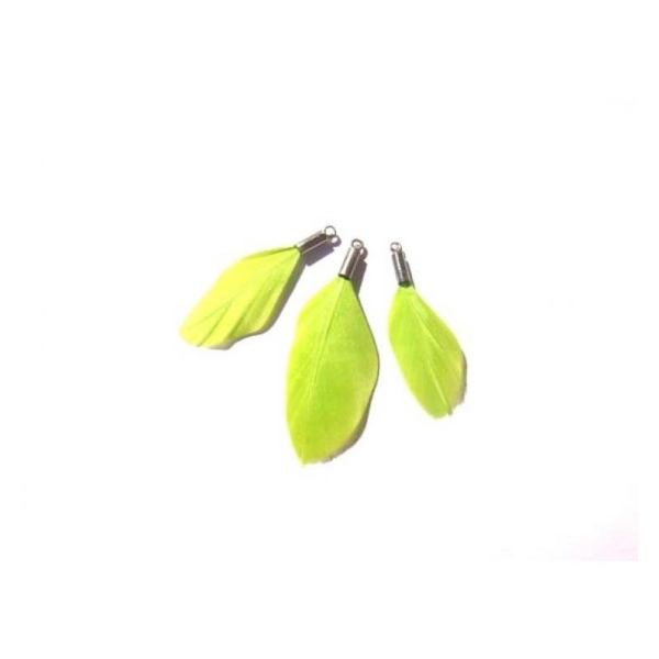 Oie teintée Vert Pomme : 3 Pendentifs 35 à 44 MM de hauteur - Photo n°1