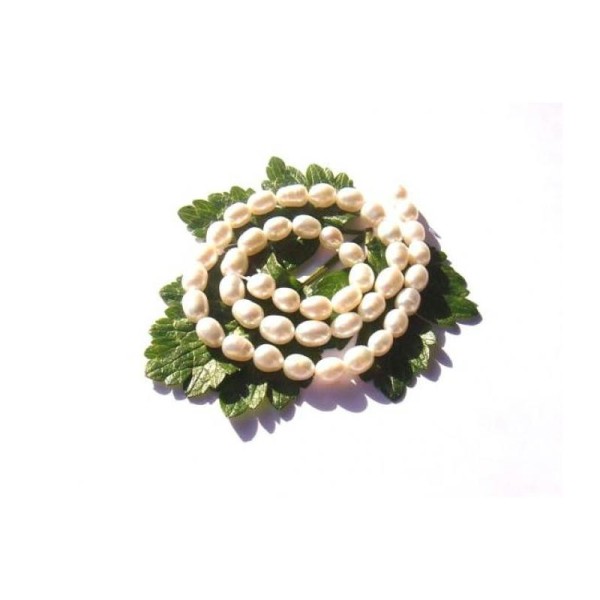 Perles d'Eau Douce : 10 Perles irrégulières 7/9 MM de longueur - Photo n°1