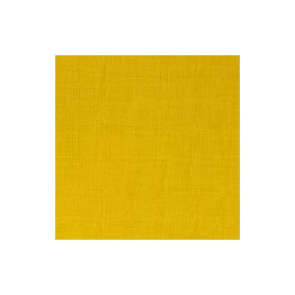 Winsor & Newton Tube de peinture acrylique professionnelle 200ml Azo Yellow Medium - Photo n°1