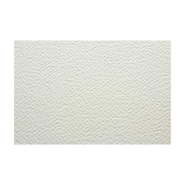 Fabriano AEW BL 4CO 20F GT Papier aquarelle 23 x 30,5 cm Extra Blanc - Photo n°1