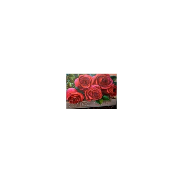 Broderie Diamant Kit - Belles Roses - 50 x 35 cm - Photo n°1