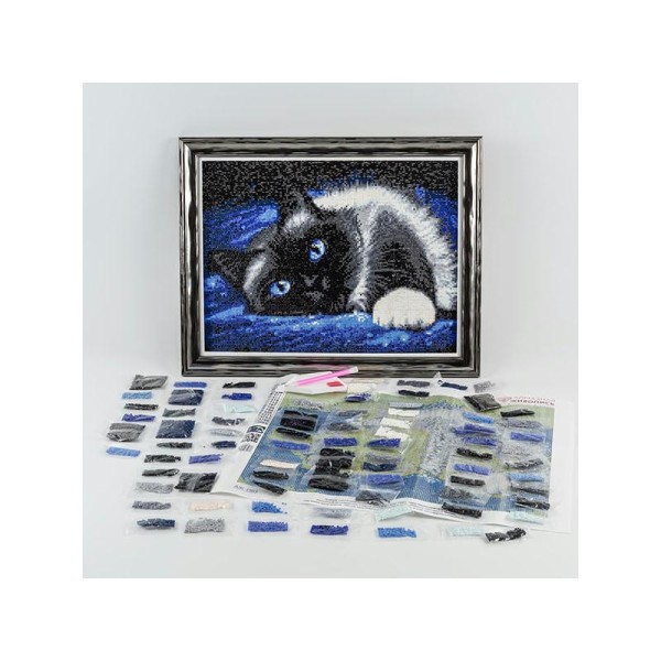 Broderie Diamant Kit - Le chat aux yeux bleus - 30 x 40 cm - Photo n°2
