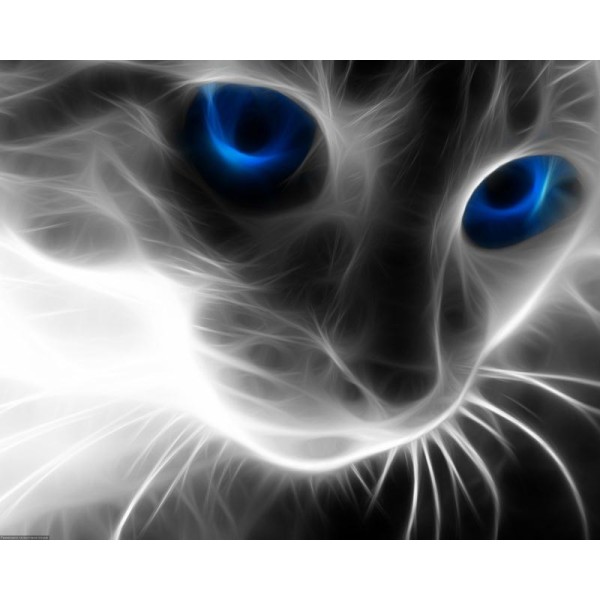 Broderie Diamant Kit - Le chat aux yeux bleus - 30 x 40 cm - Photo n°1