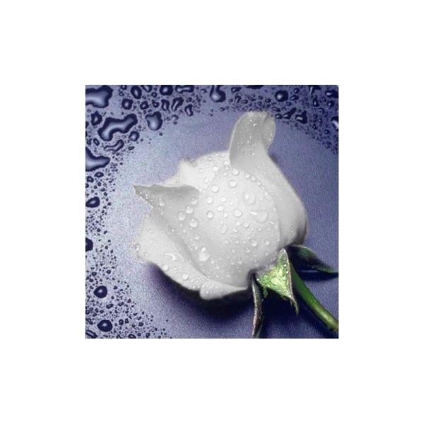 Broderie Diamant Kit - Rose - 22 x 24 cm - Photo n°1
