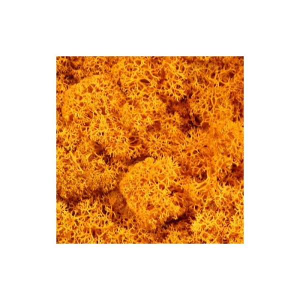 Mousse décorative pour art floral  orange.  vendue en sachet de 40 g - Photo n°1