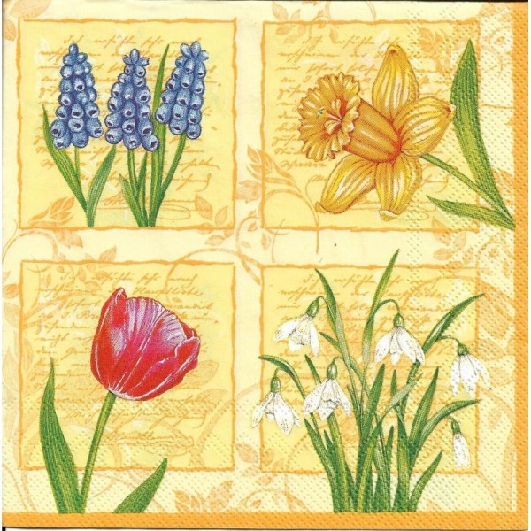 4 Serviettes en papier Fleurs Tulipe Jonquille Perce-neige Muscaris Format Lunch - Photo n°2