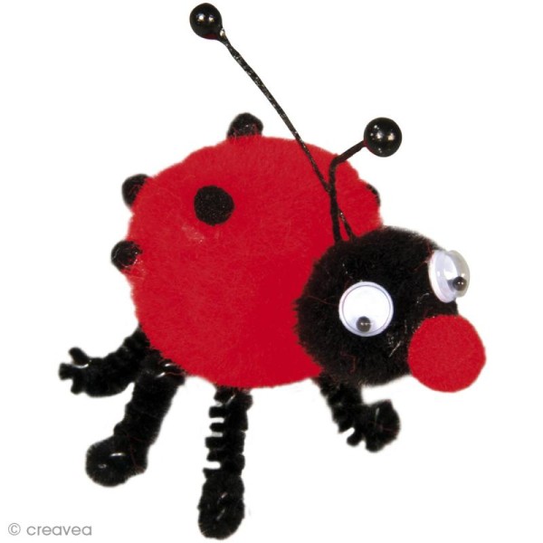 Kit pompon enfant - Dolly le scarabée - Photo n°1