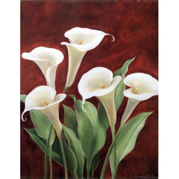 Image 3D Fleur - 5 arums 40 x 50 cm - Photo n°1