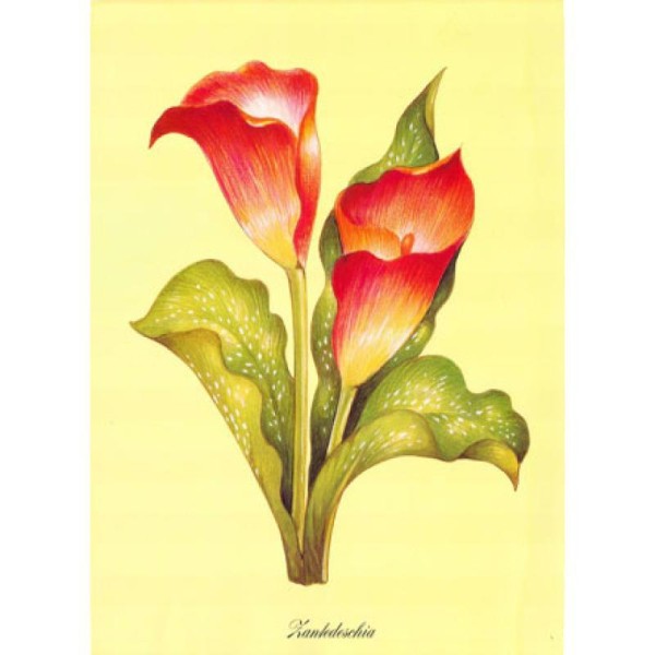 Image 3D Fleur - 2 fleurs rouges en cone 24 x 30 cm - Photo n°1