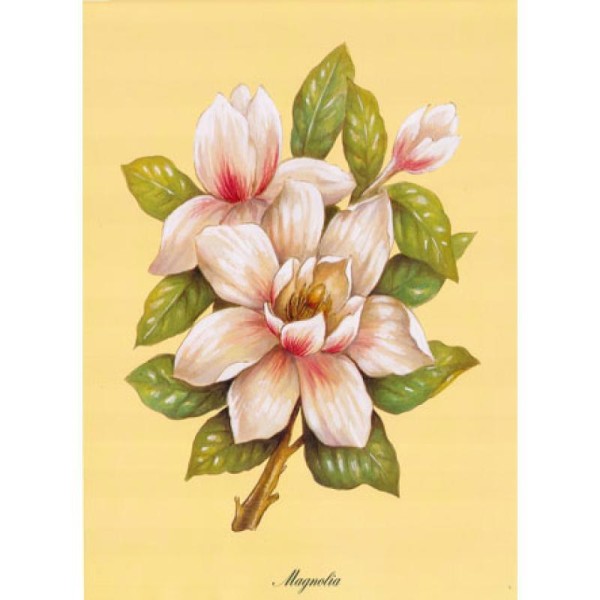 Image 3D Fleur - Magnolia 24 x 30 cm - Photo n°1