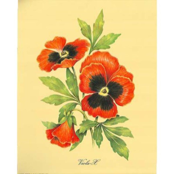 Image 3D Fleur - Coquelicots rouges sur fond 24 x 30 cm - Photo n°1