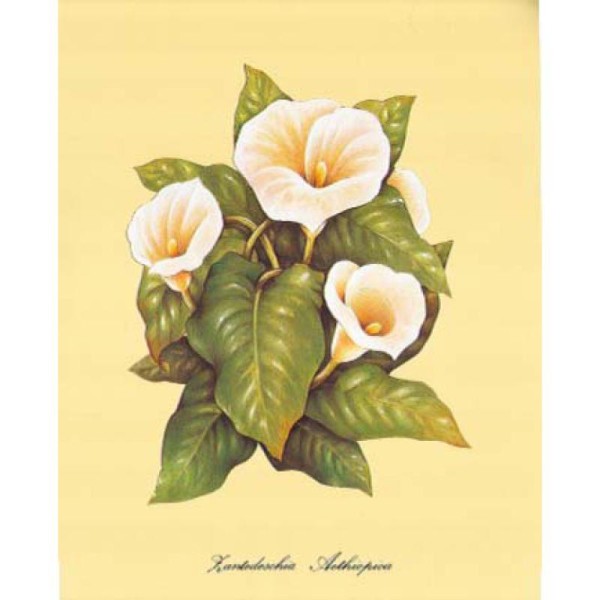 Image 3D Fleur - 3 fleurs blanches 24 x 30 cm - Photo n°1
